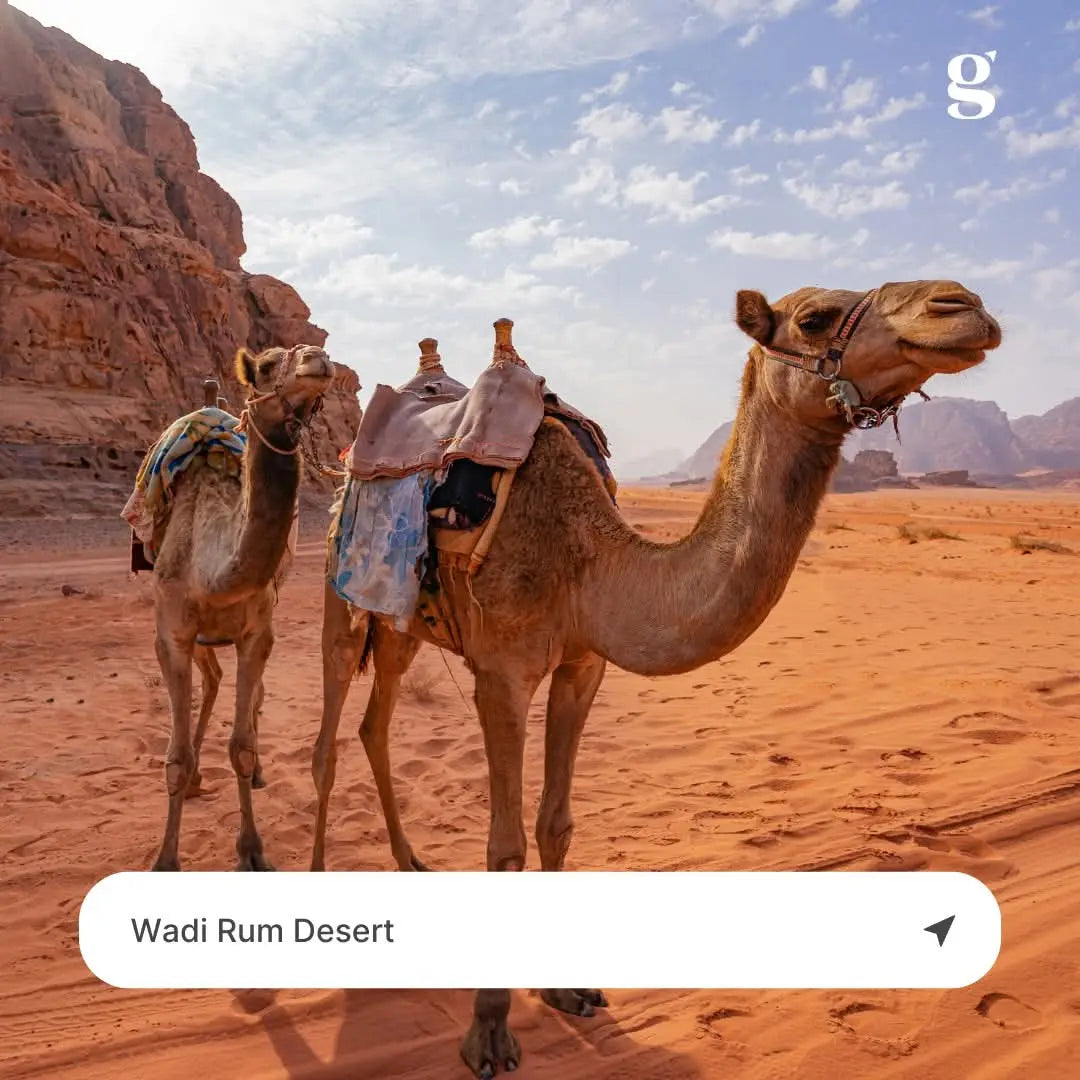 explore-one-of-the-Middle-East-s-most-destinations-cultural-experiences Hotels Booking Trips