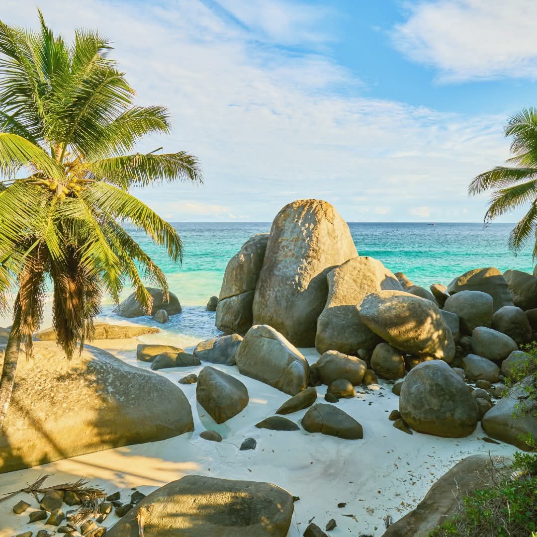 waking-up-in-the-Seychelles-a-charming-island-escape Hotels Booking Trips