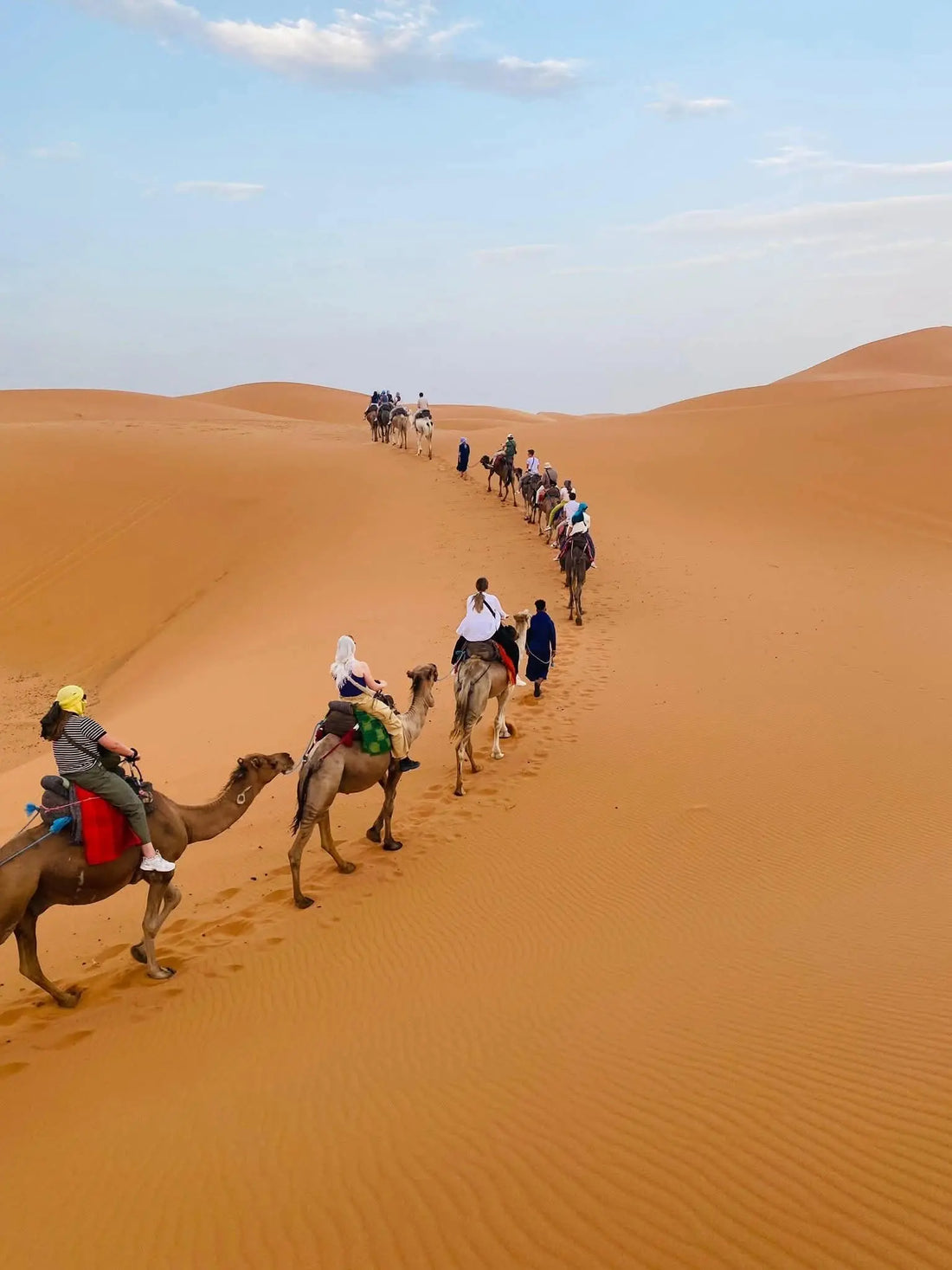 Tunisia-after-a-wonderful-two-weeks Hotels Booking Trips