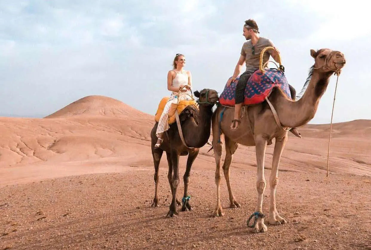 Agafay-Desert-Camel-Ride-Best-Marrakech-Desert-Experience Hotels Booking Trips