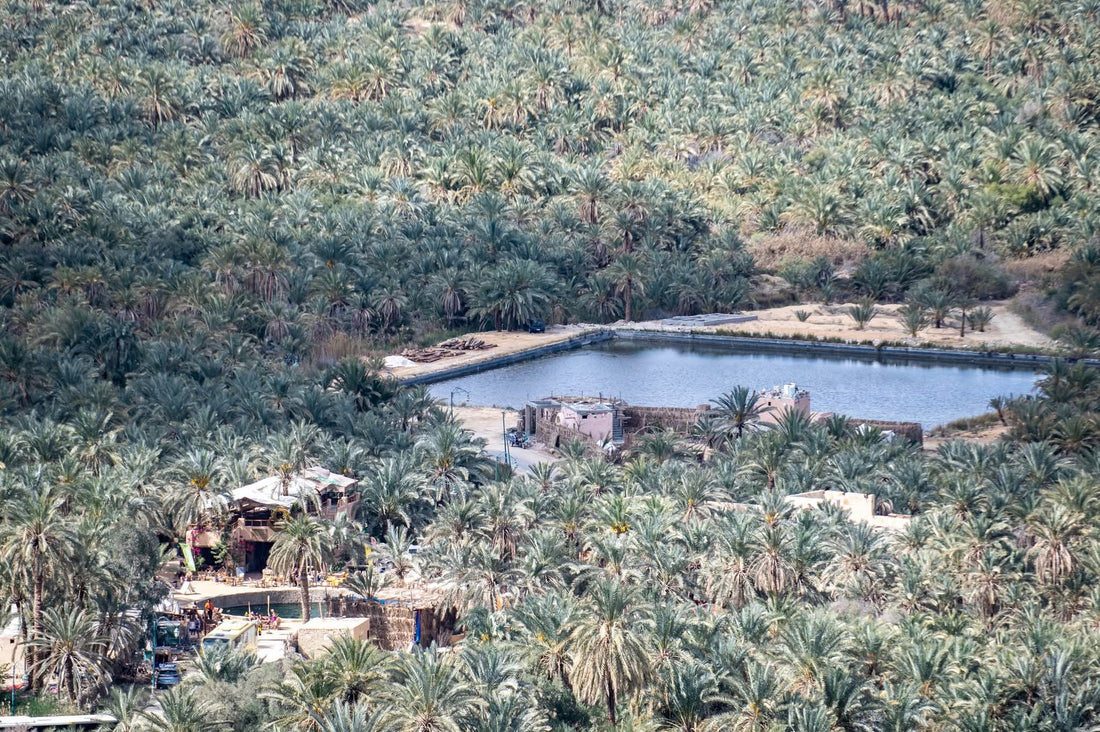 Escape-to-Siwa-Oasis-Egypt-s-Hidden-Gem Hotels Booking Trips