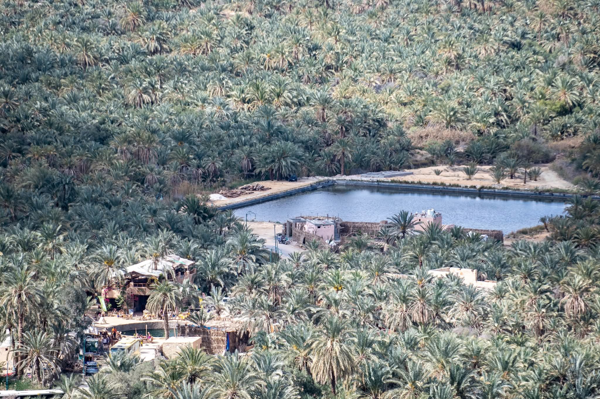 Escape-to-Siwa-Oasis-Egypt-s-Hidden-Gem Hotels Booking Trips