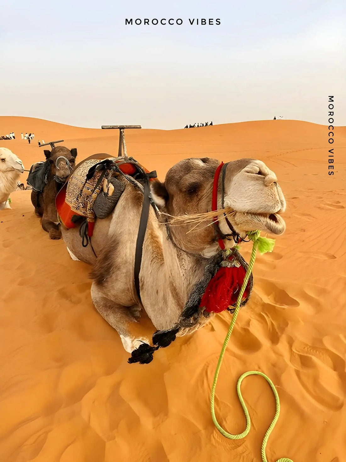 Amazing Things to Do in Merzouga