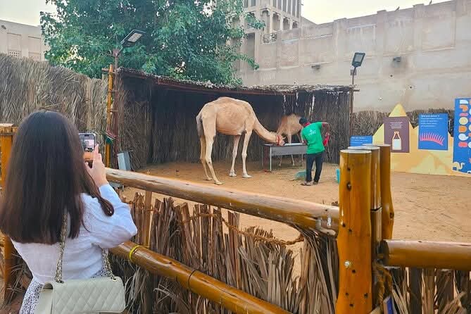 Dubai Private Tour of Creek, Souks, Frame, and Burj Khalifa Entry.&nbsp;