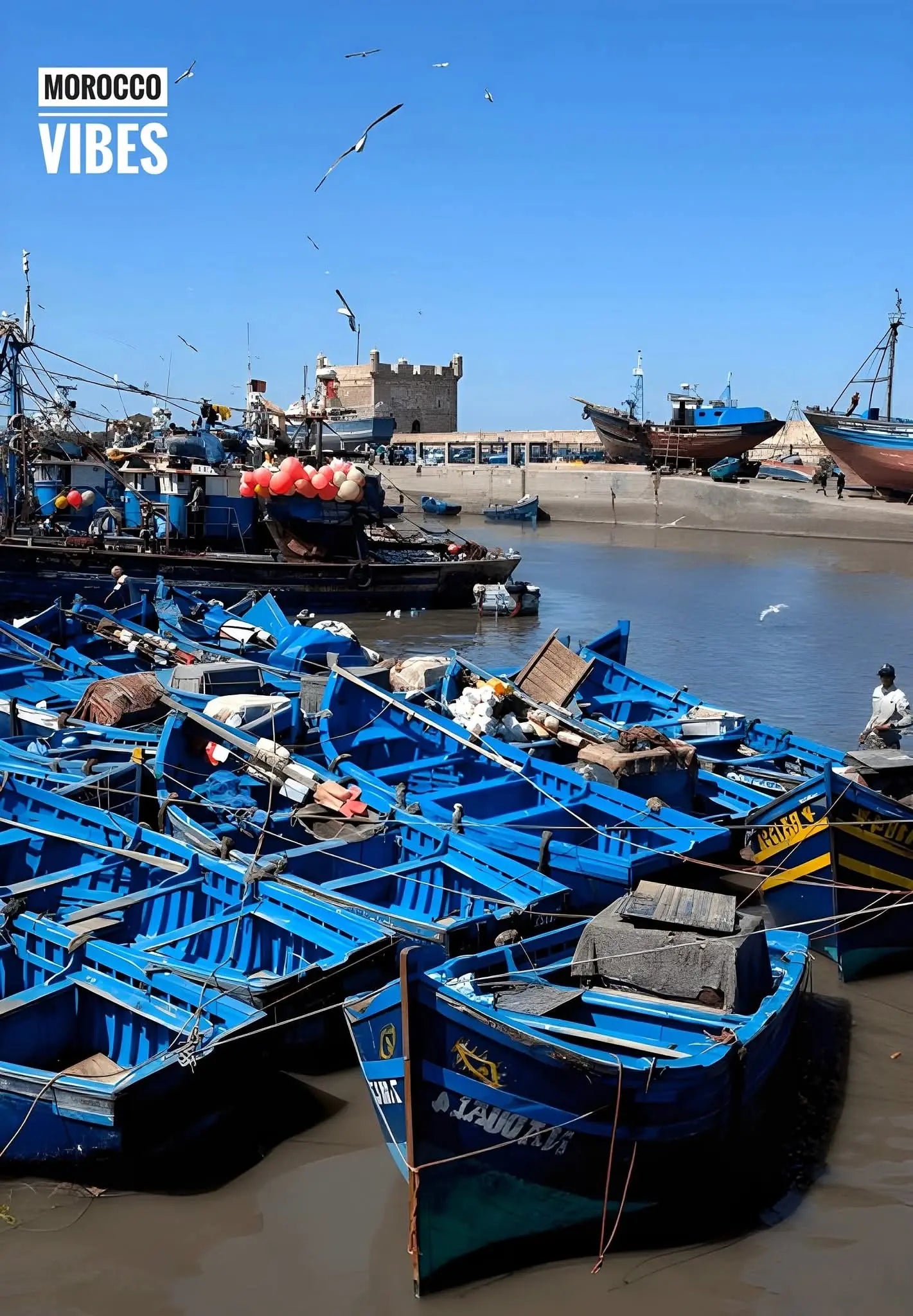 The Top 5 Activities in Essaouira Morocco