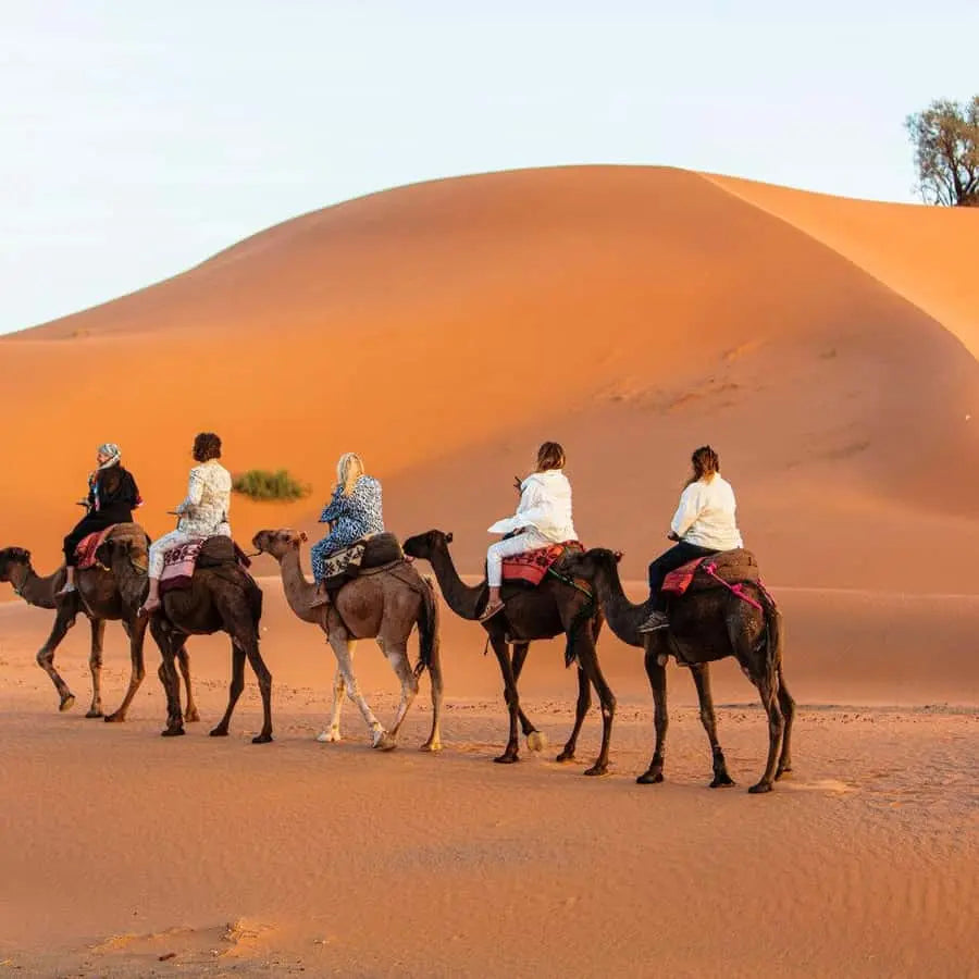 Private morocco tours 