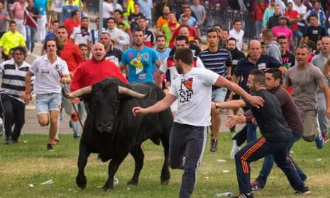 The Toro Festival Toro de Fuego is a traditional Spanish celebration 