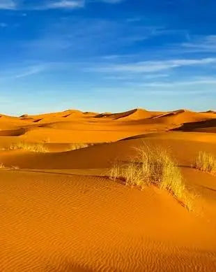 Merzouga Erg Chebi Desert south Morocco 