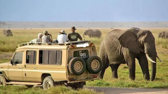 Tanzania thing to do: Top 10 Natural Attractions for First-Timers