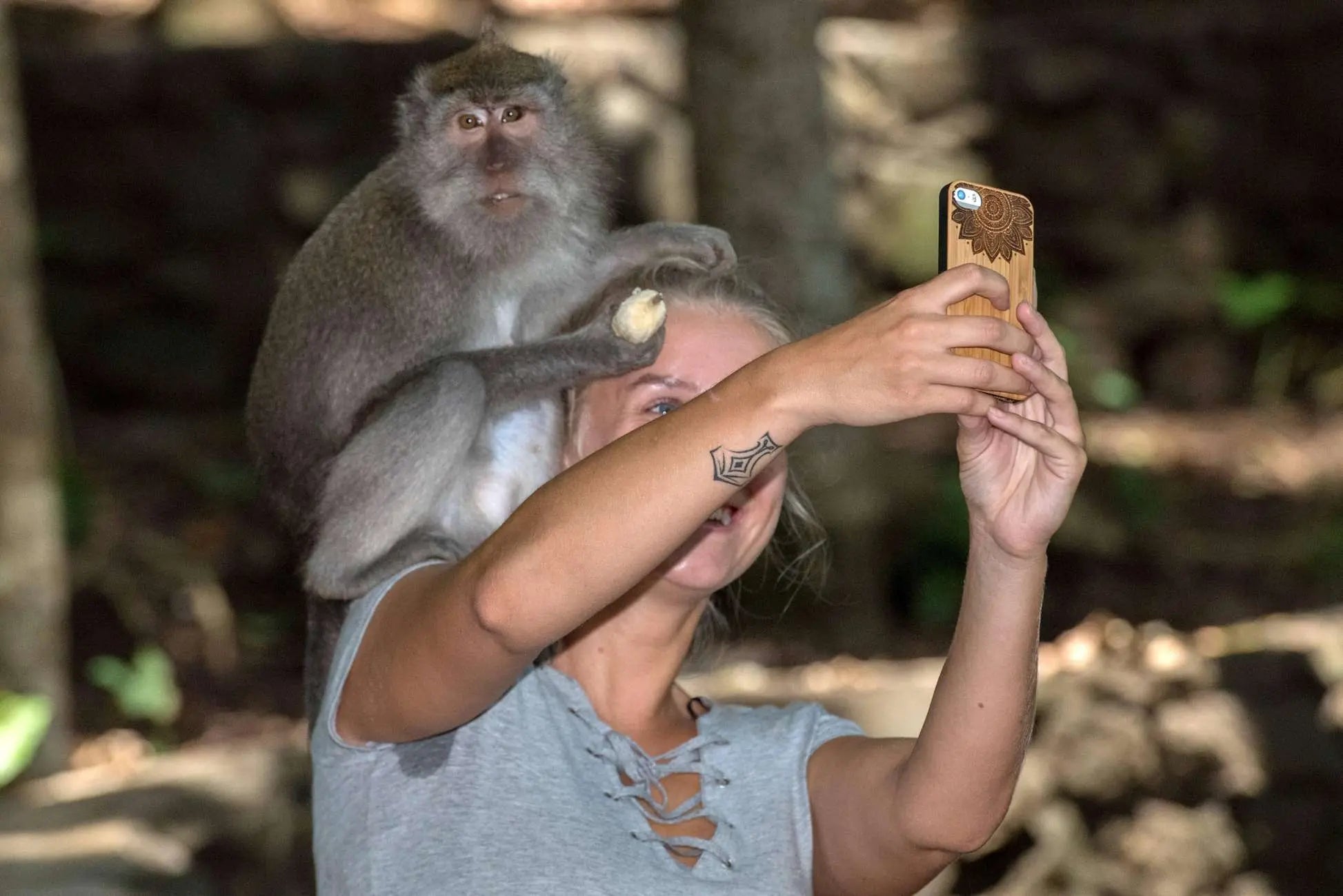 From Marrakech 3 Day Sahara Desert Adventure to Fes 