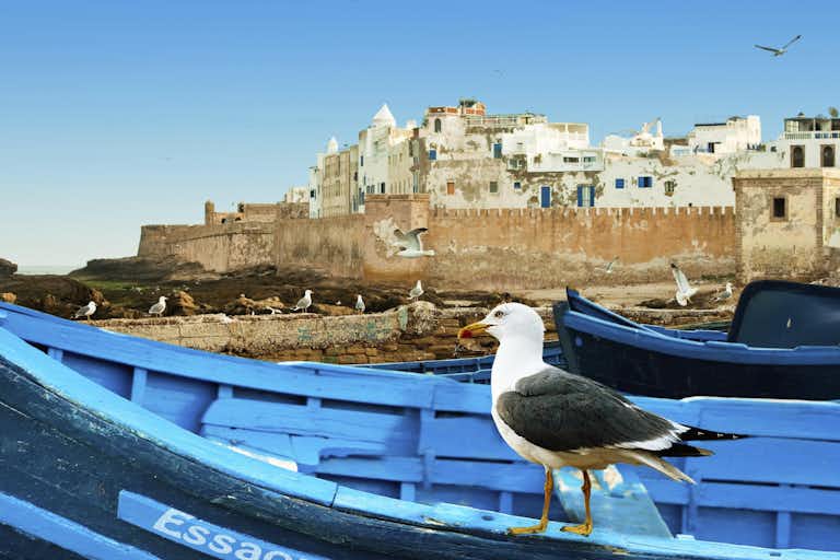 Essaouira: Guided Day Tour + Pickup from Marrakech Booking hotels accommodation trip