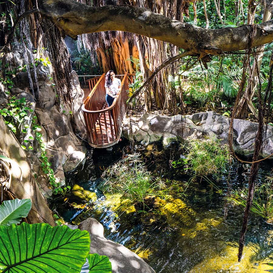 Tenerife: Loro Parque Entry Ticket Hotels Booking Trips