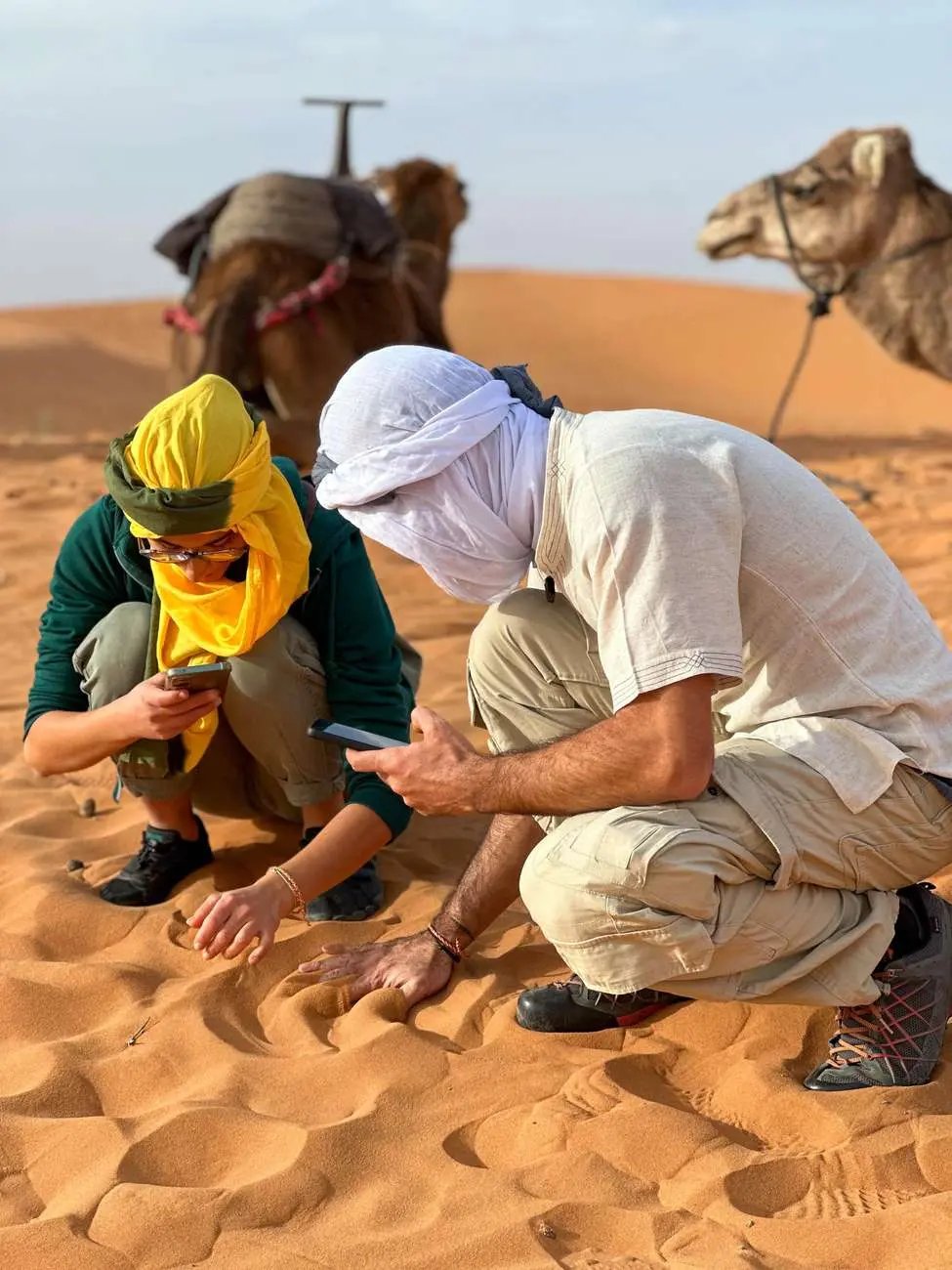 Marrakech/Ouarzazate: 2-Day Desert with Camel, 4x4 & Meals Hotels Booking Trips