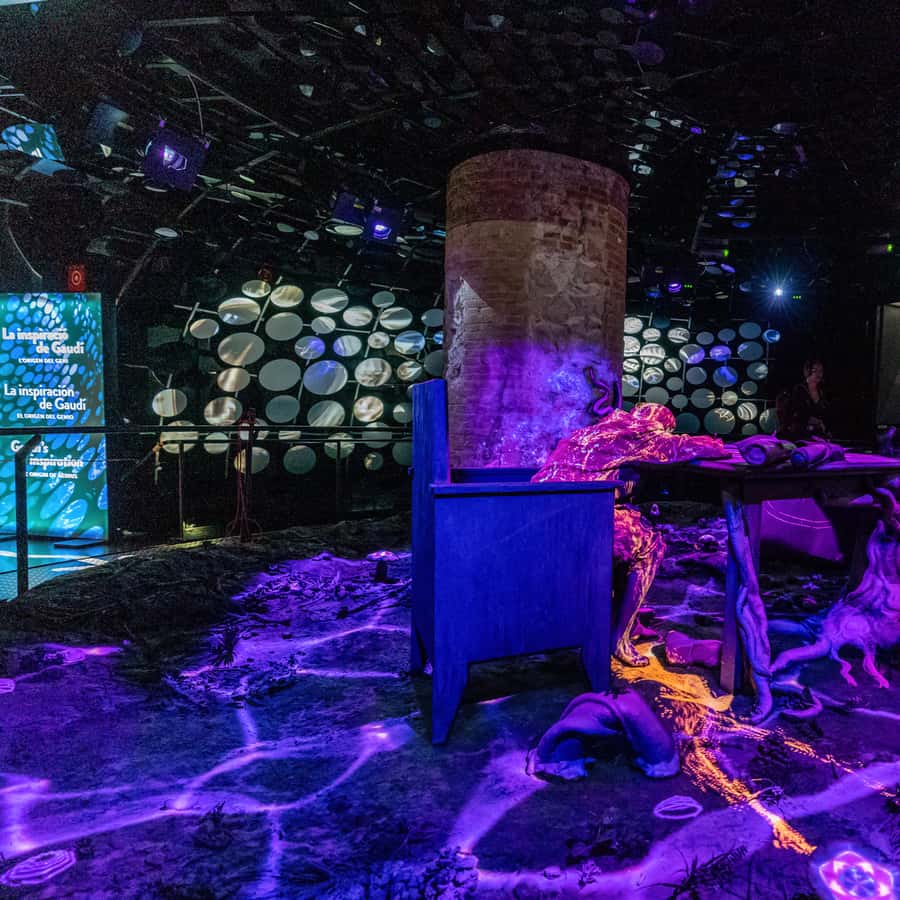 Barcelona: Casa Batlló Entry with Self-Audioguide Tour Hotels Booking Trips