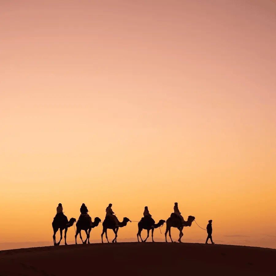 From Marrakech Unforgettable 3 Day Desert Tour to Fes 