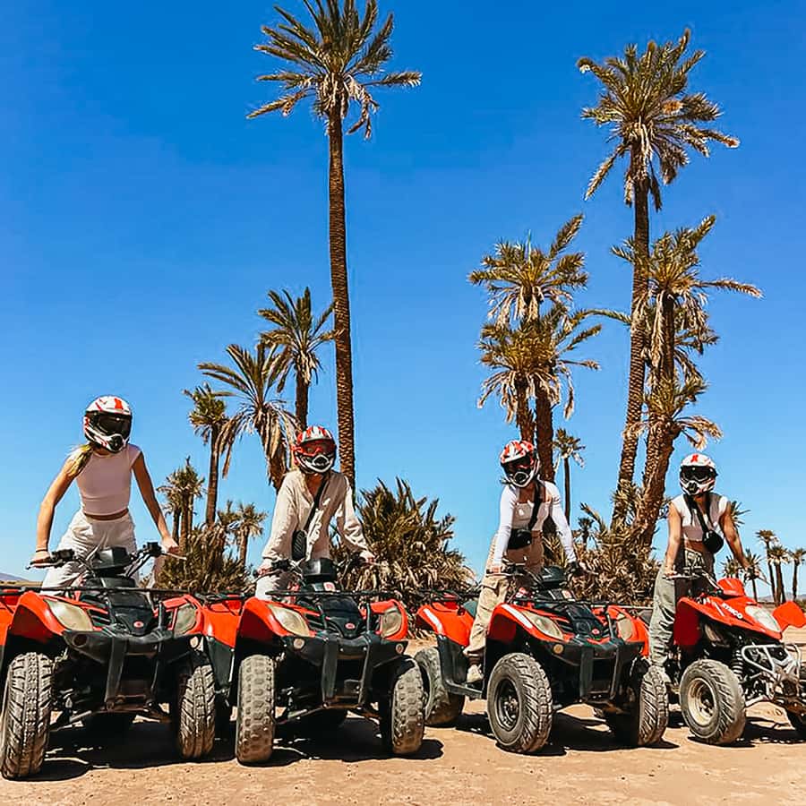 Marrakech: Quad Bike Tour to Palm Oasis and Jbilat Desert Hotels Booking Trips