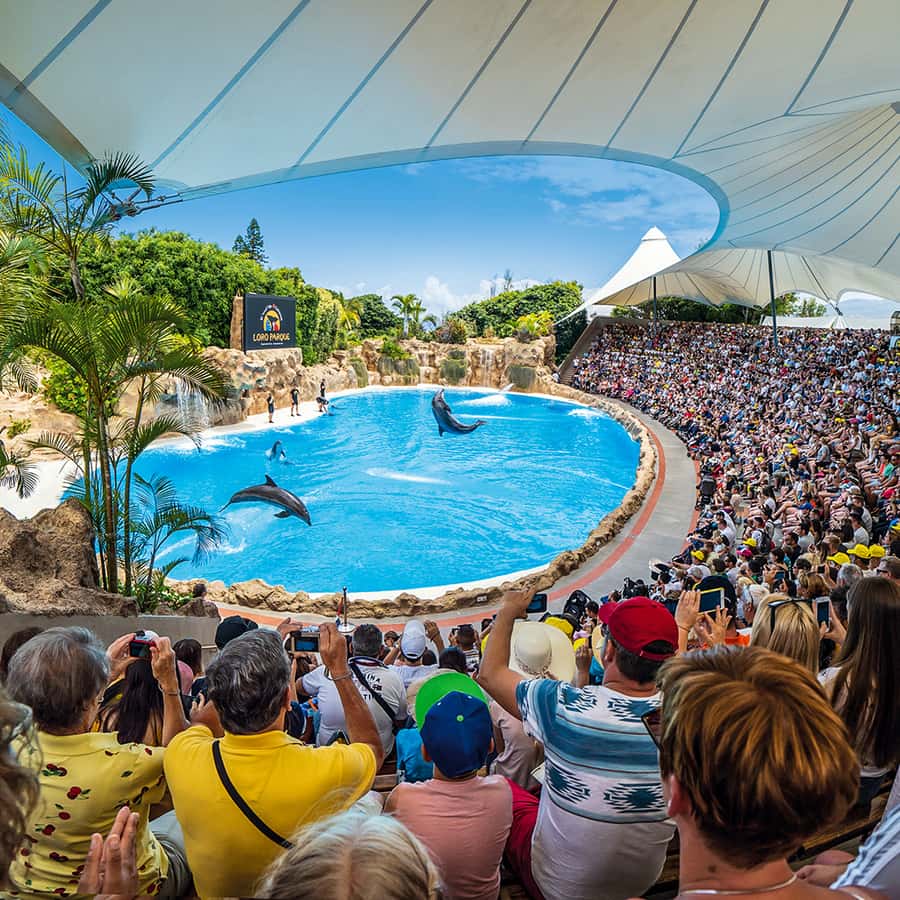 Tenerife: Loro Parque Entry Ticket Hotels Booking Trips