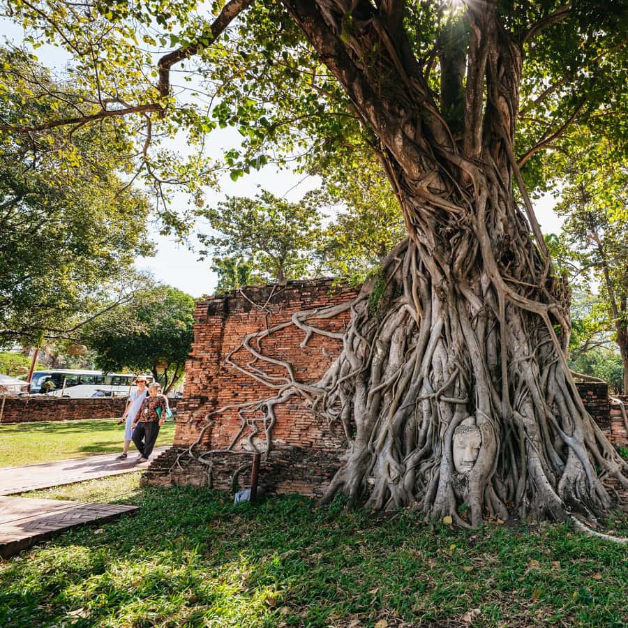 From Bangkok: Ayutthaya Temples Guided Tour with Lunch Hotels Booking Trips