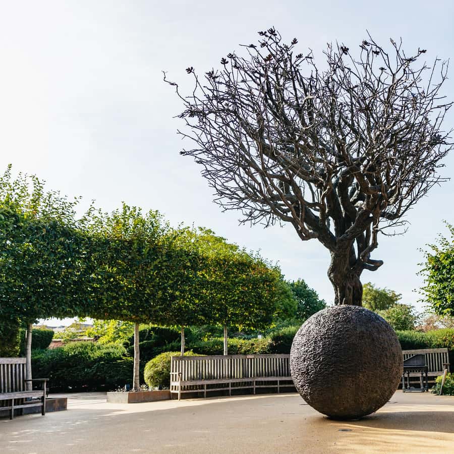 Stratford upon Avon Shakespeare's Birthplace Ticket 