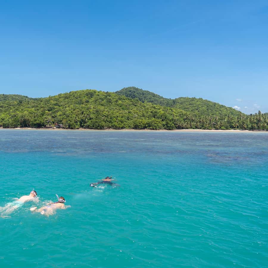 Koh Samui: Island Hopping Adventure in Coral and Pig Island Hotels Booking Trips
