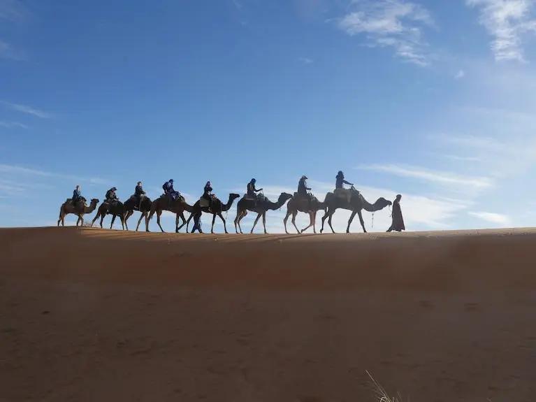 Royal Luxury Camp merzouga Booking hotels accommodation trip