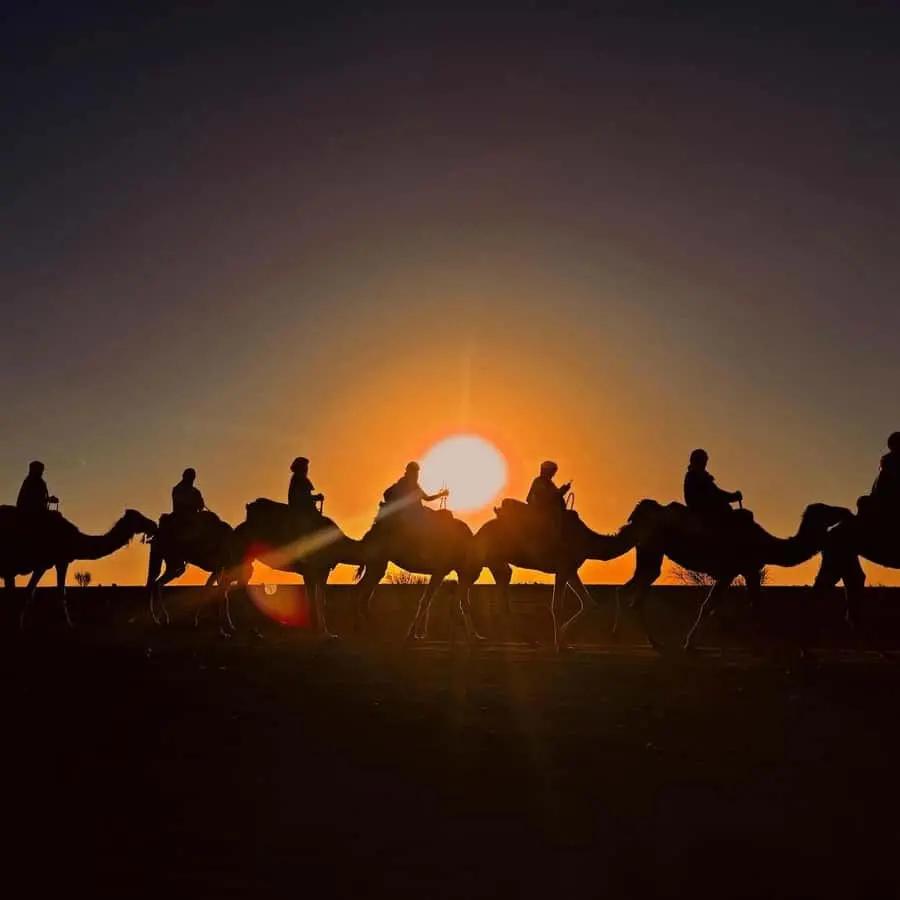 Marrakech: Agafay Desert Sunset, Camel Ride, and Dinner Show Hotels Booking Trips