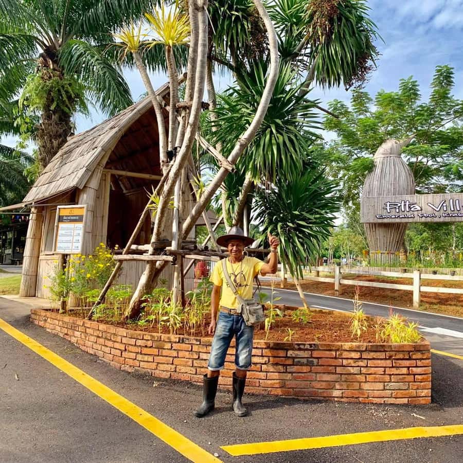 Krabi Tiger Cave, Hot Springs and Emerald Pool Jungle Tour 