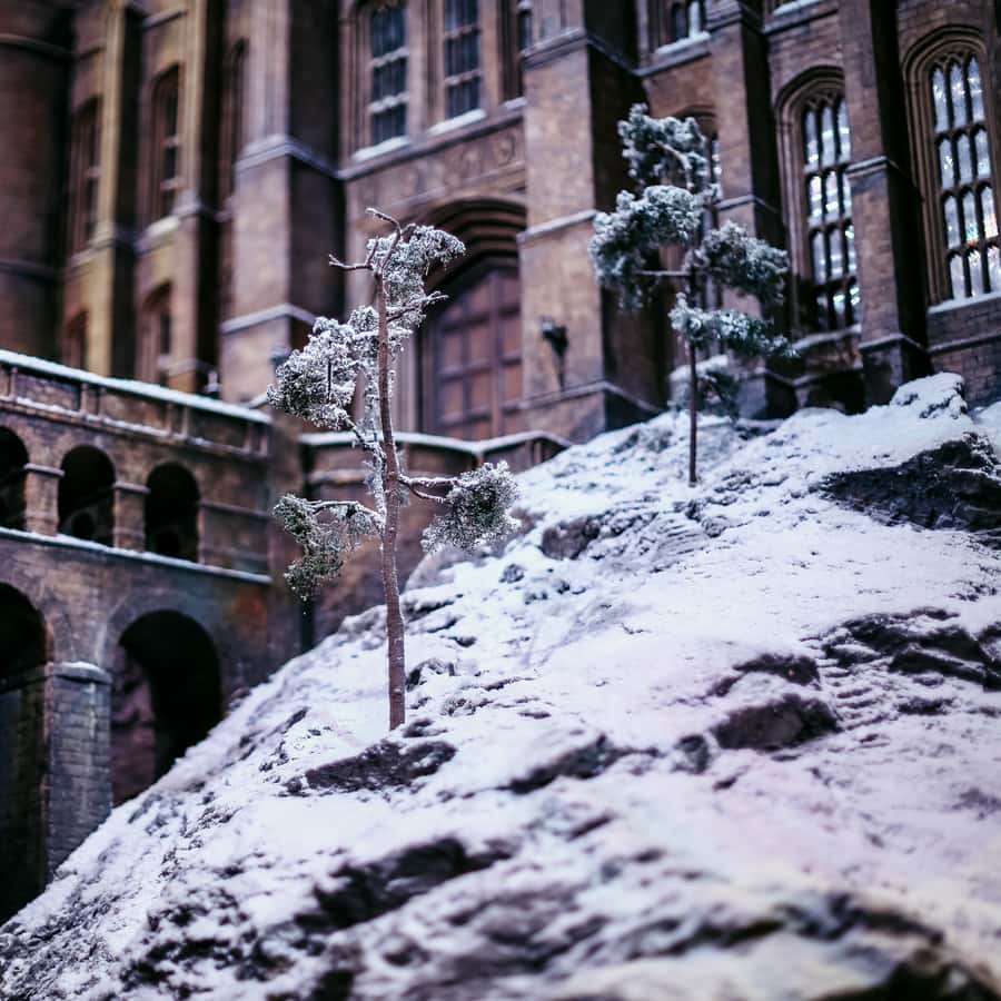 Harry Potter Studios & Private Transfer from Central London Hotels Booking Trips