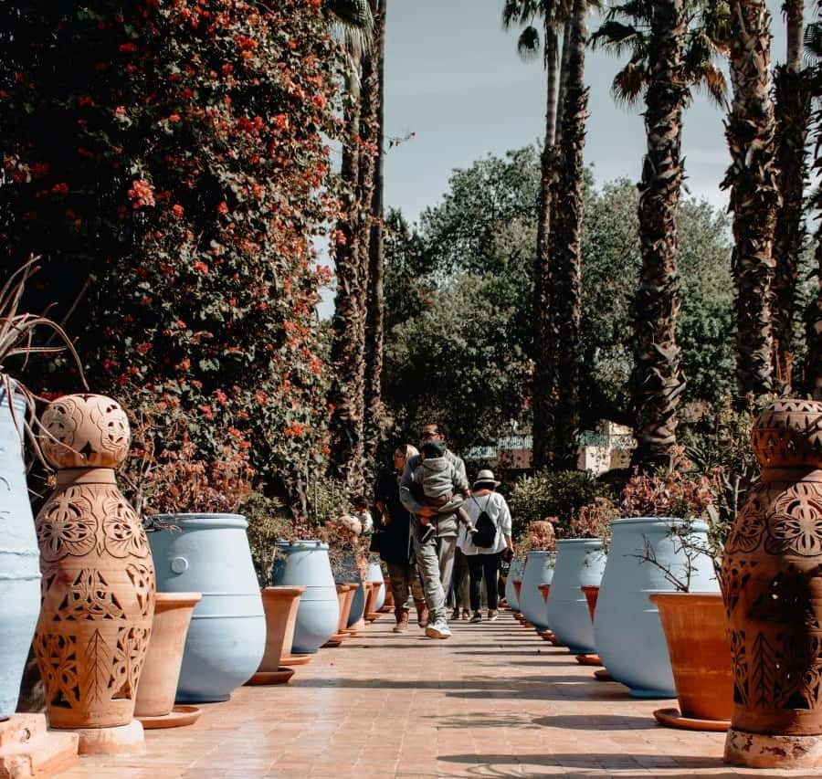 Marrakesh: Majorelle Garden Entry Tickets Hotels Booking Trips