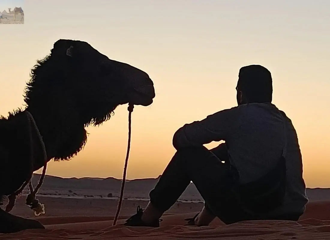 2 Days Camel trekking in Merzouga desert 