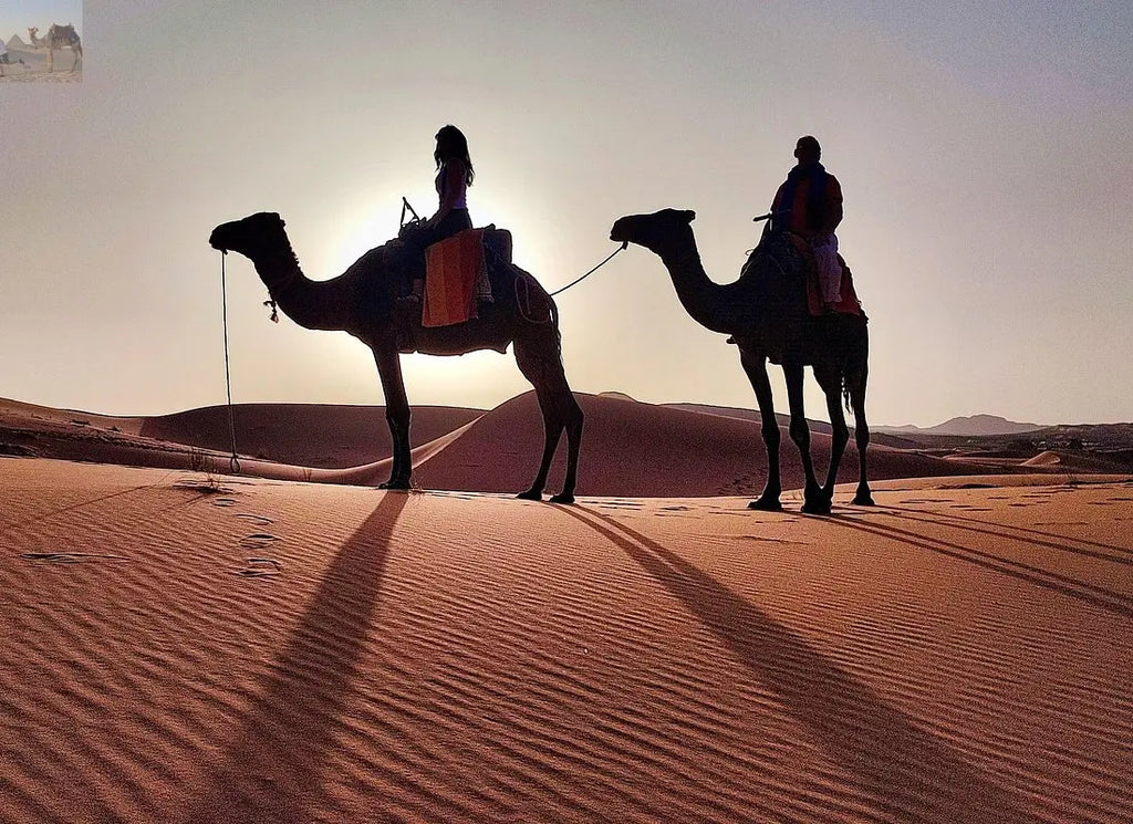 2 Days Camel trekking in Merzouga desert 