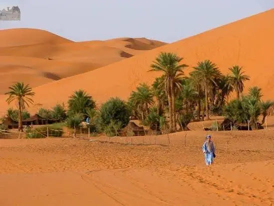 2 Days Camel trekking in Merzouga desert 