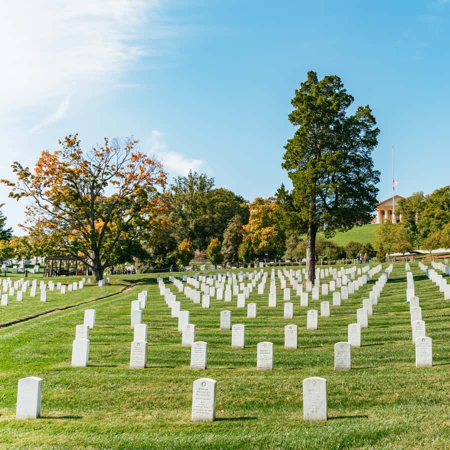 New York City: Full-Day Washington DC City Highlights Tour Hotels Booking Trips