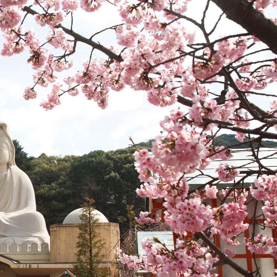 Kyoto: Gion Geisha District & Hidden Gems Walking Tour Hotels Booking Trips