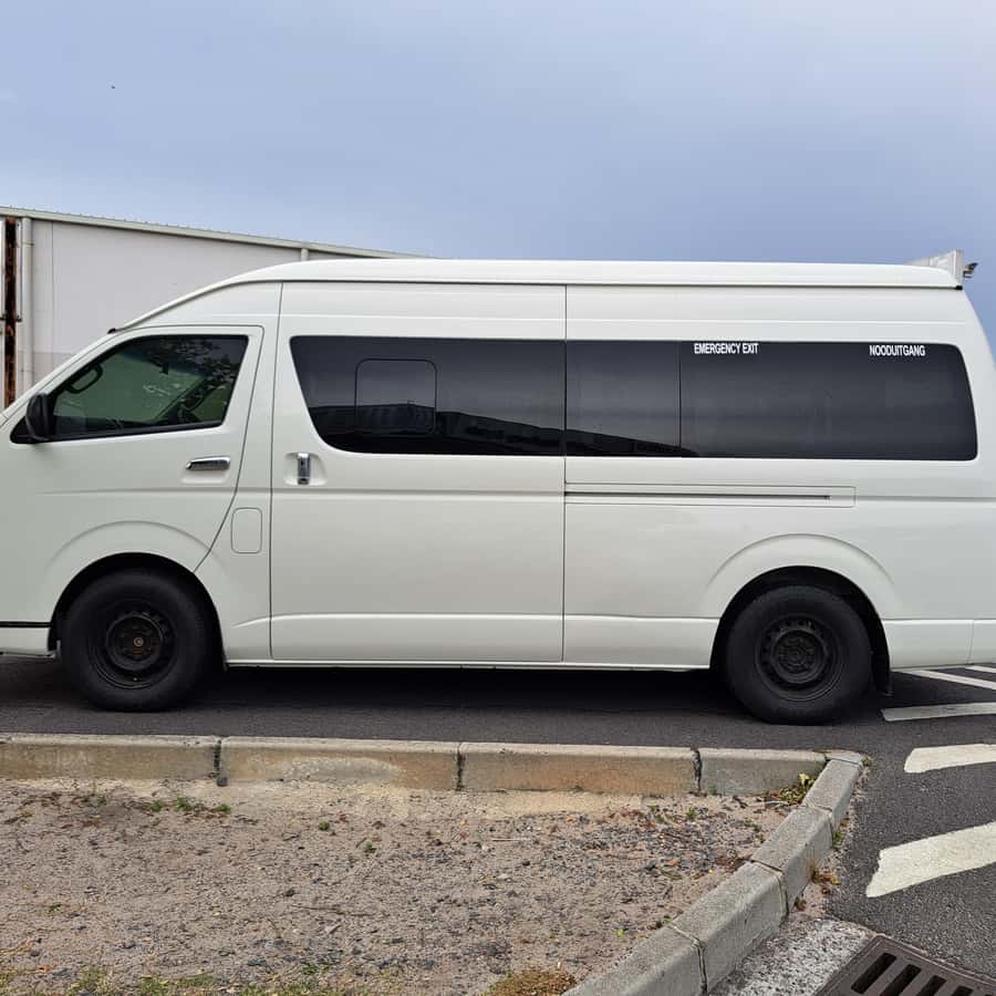 From Cape Town: 2-Day Safari at Garden Route Game Lodge Hotels Booking Trips