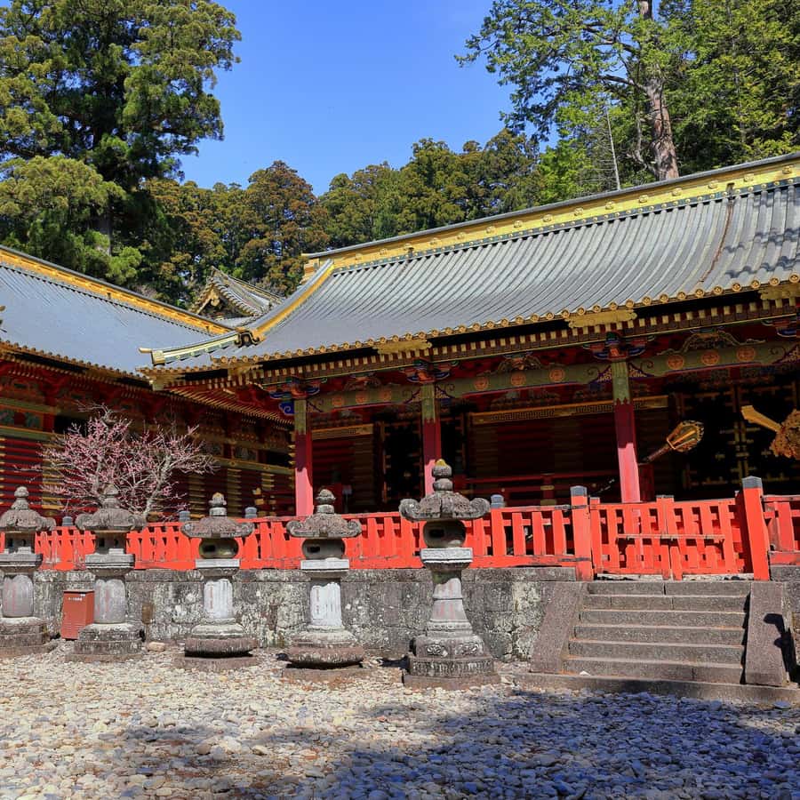 Nikko: Kegon Falls, Lake Chuzenji & Toshogu Temple Hotels Booking Trips