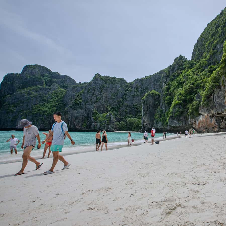 From Phi Phi Half Day Longtail Boat Tour with Snorkeling 