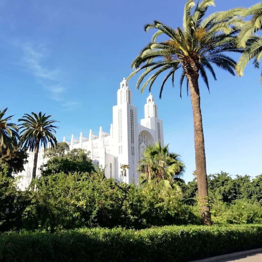 Casablanca: Full-Day City Exploration with Hotel Pickup Hotels Booking Trips