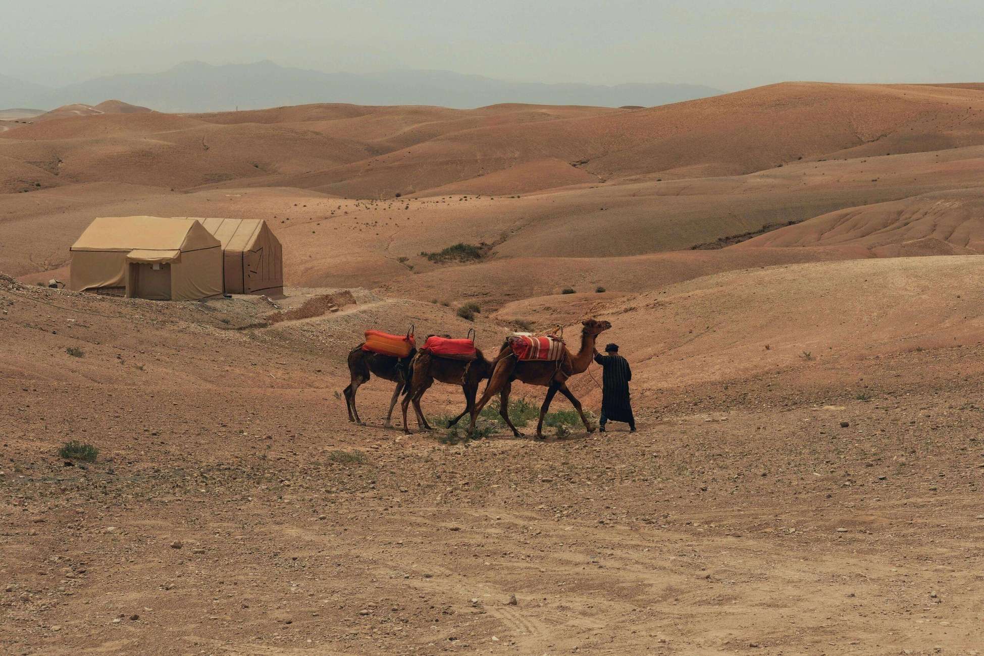 Marrakech/Ouarzazate: 2-Day Desert with Camel, 4x4 & Meals Hotels Booking Trips