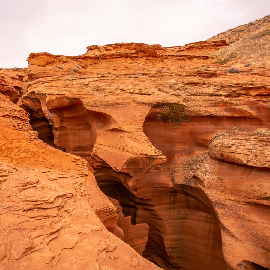 Lower Antelope Canyon Entry and Navajo Guided Tour Hotels Booking Trips