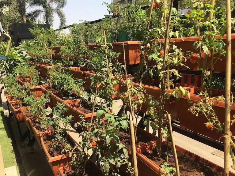 Sofitel Mumbai BKC Hotel Hotels Booking Trips