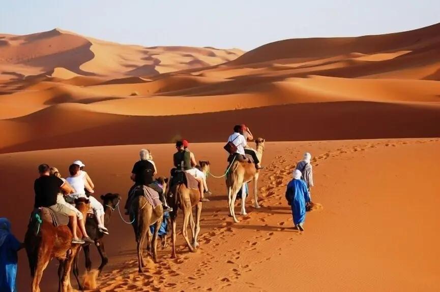 Overnight Camel trekking Booking hotels accommodation trip