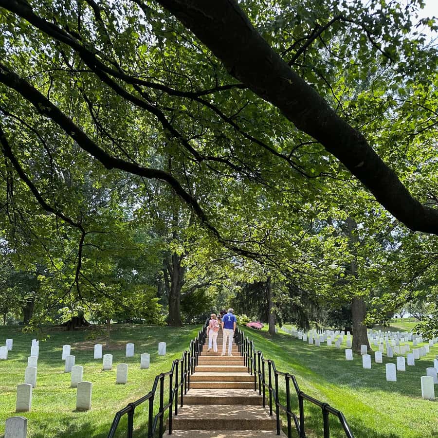 DC: Hop-On Hop-Off with 17 Stops plus Arlington Walking Tour Hotels Booking Trips