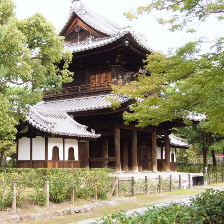 Kyoto: Gion Geisha District & Hidden Gems Walking Tour Hotels Booking Trips