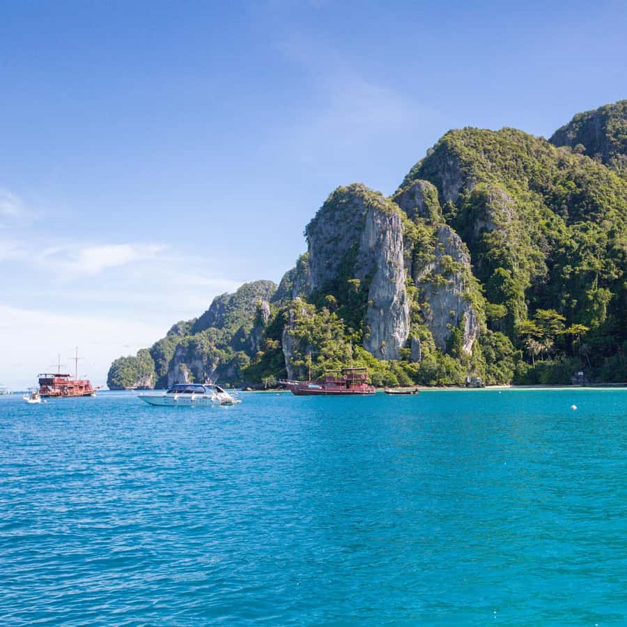 From Phi Phi Half Day Longtail Boat Tour with Snorkeling 