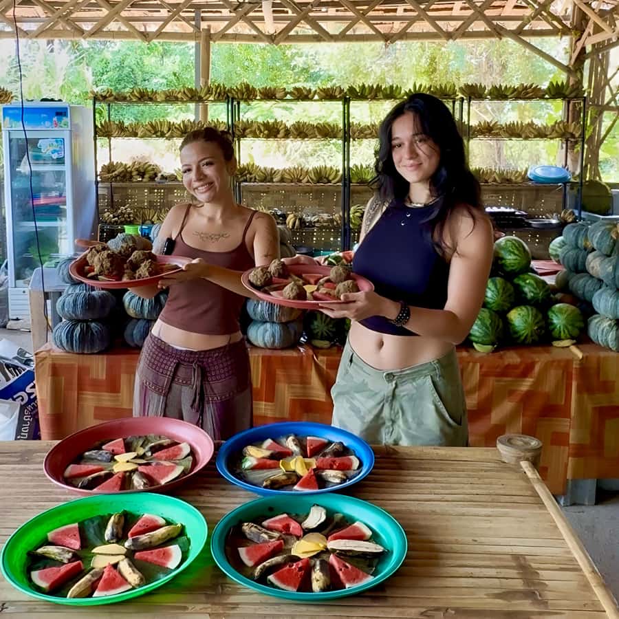 Koh Samui: Mr.Ung's 4WD Wild Jungle Safari Tour with Lunch Hotels Booking Trips