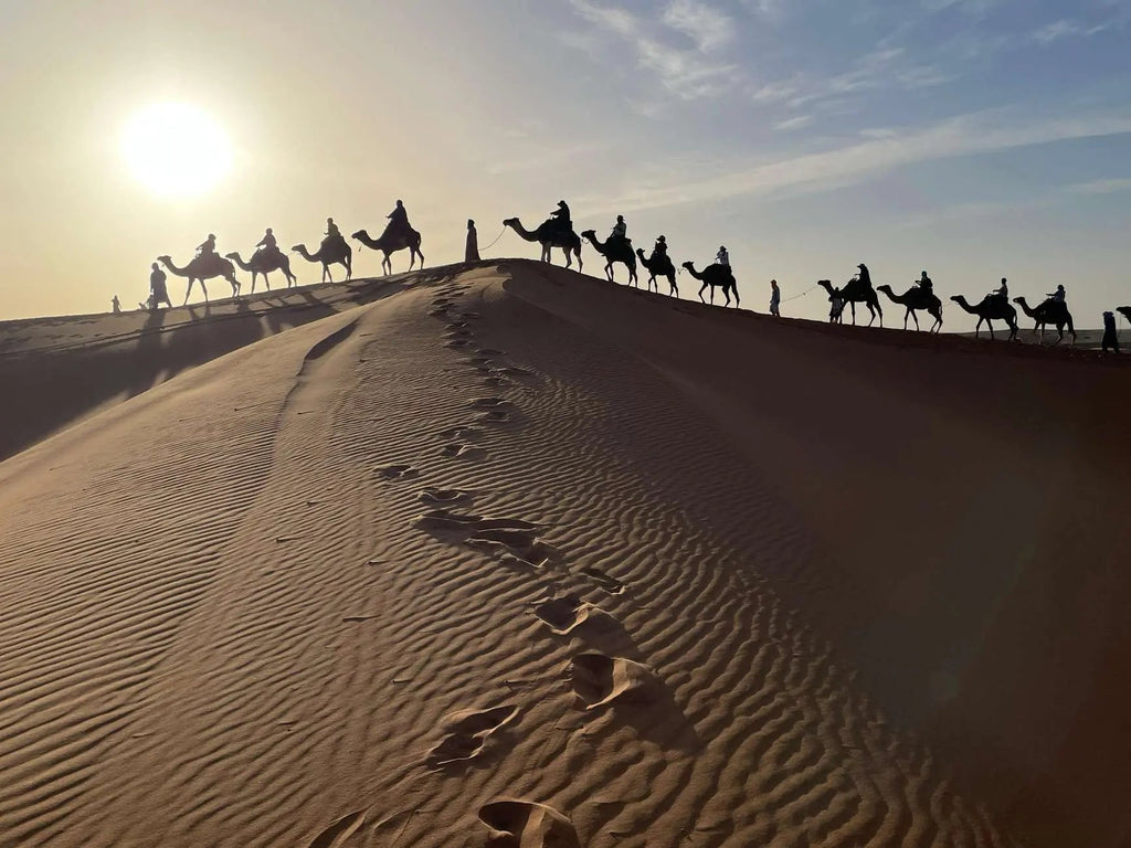 Fes: 3 Days Desert Tour from Fes back to Fez Hotels Booking Trips