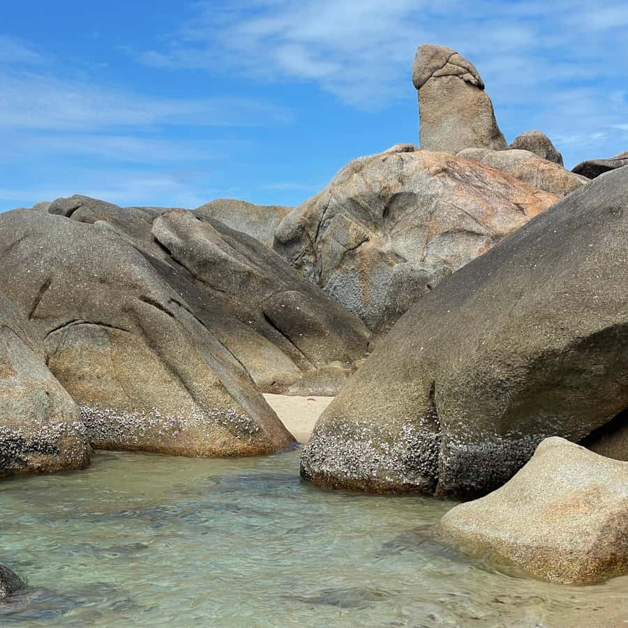 Koh Samui: Mr.Ung's 4WD Wild Jungle Safari Tour with Lunch Hotels Booking Trips