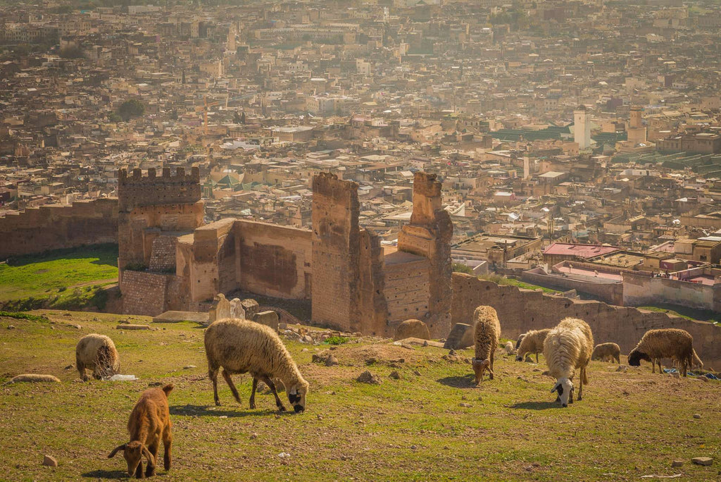 From Marrakech 3 Day Sahara Desert Adventure to Fes 