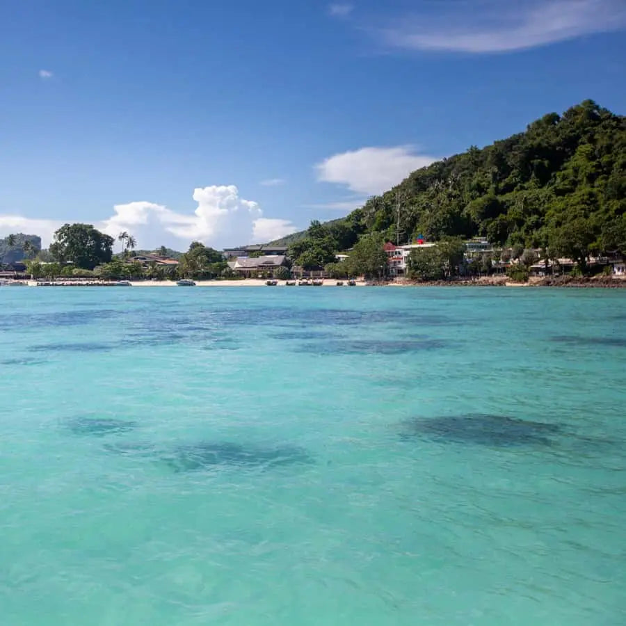 From Phi Phi Half Day Longtail Boat Tour with Snorkeling 